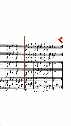 Haydn’s Palindrome😵‍💫 #haydn