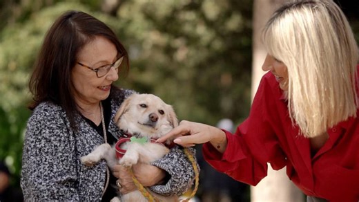 Pet stories: Η Λυδία Φωτοπούλου μιλά για τη σχέση ζωής με τα ζώα