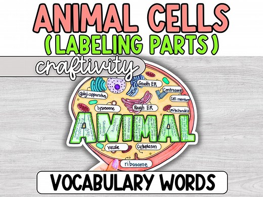 Animal Cell Labeling Project, Coloring Page, Diagram Activity, Craftivity, Middle School, Science Classroom, Plant Cell Anatomy, 6th Grade - Etsy