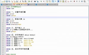 Notepad  保存并运行示例