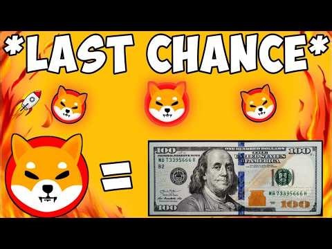 shiba inu today update