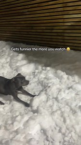 First time seeing snow last year! Can you tell the way I was scared at first 😂 | Miley Staffy