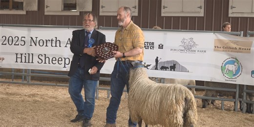2025 North American Hill Sheep Show held in Escanaba