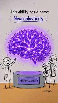 Neuroplasticity Changes Everything 🧠