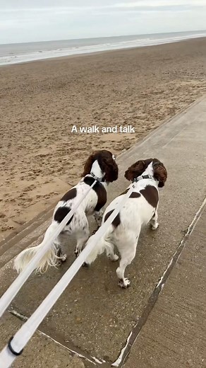 A walk and talk 🌊 | Mablethorpe Ice Cream Company
