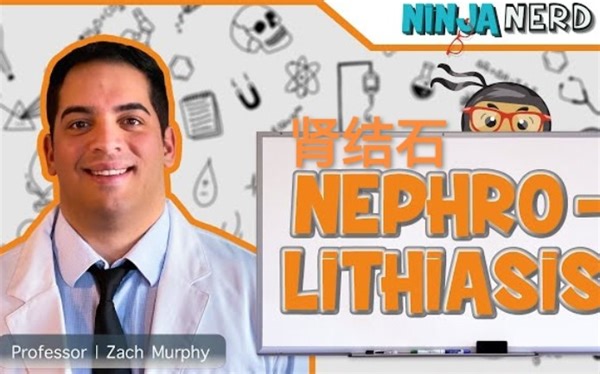【Ninja Nerd】(英文字幕) 肾结石 Nephrolithiasis | Kidney Stones