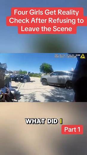 80K views · 1.5K reactions | Title #cops #MovieMagic #copsontiktok #HollywoodHit #FilmFrenzy #TVTime #CinephileCommunity #bingewatching #movienight #BlockbusterBliss #SilverScreen #PopcornTime #MovieMarathon #showtime #FilmFanatics #ScreenTime #moviebuff #TVAddict #CinemaLovers #SeriesSensation #viralreelsfb #OnScreenAdventures #viralreelschallenge #trendingreels | police academy | Facebook