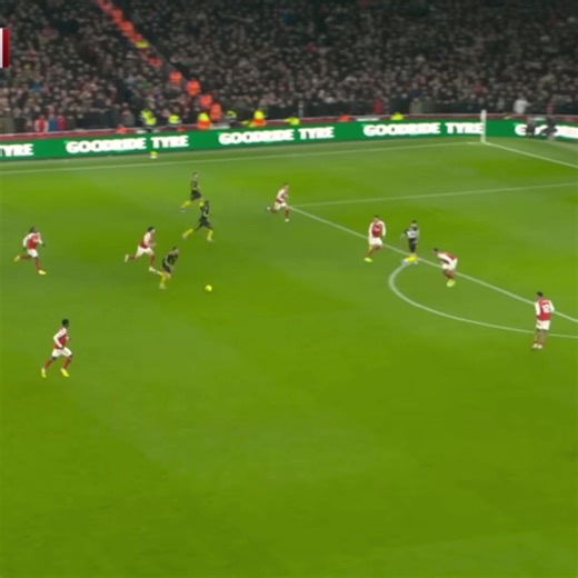 Matheus Cunha 🇧🇷🌊🏄‍♂️#wolves #cunha #beast #goal #football