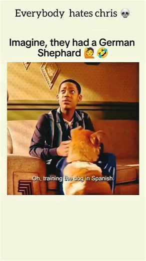 movie bank on Instagram: "Everybody Hates Chris is a comedy series inspired by the real childhood of Chris Rock, set in Brooklyn during the 1980s. It follows Chris, a smart and determined teenager trying to survive school, neighborhood challenges, and the daily chaos of growing up. As the oldest child, Chris constantly balances responsibility at home with pressure from the outside world. He deals with unfair teachers, bullies, endless misunderstandings, and moments that test his confidence—but h