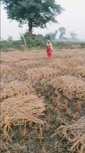 #motivation #love #poetry 🙏🙏🙏🙏🙏