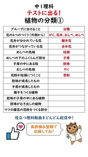 【中1理科】テストに出る厳選15選！植物の分類①【一問一答】【聞き流し】#shorts