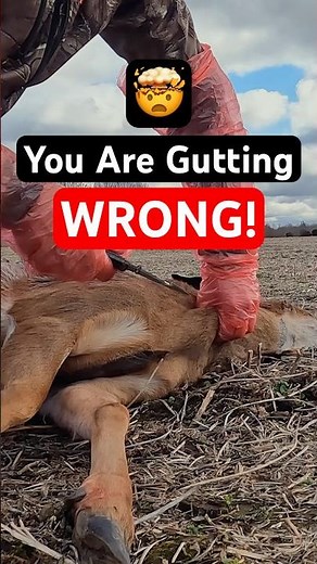 Mind-Blowing Gutting Trick! 🔪🦌