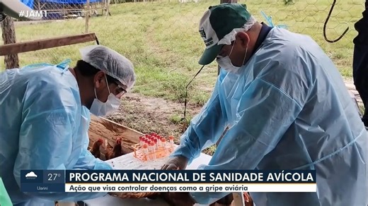 Ação que visa controlar doenças como gripe aviária é realizada no AM