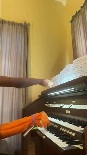 Baby Bach The Bunny Plays The Pipe Organ
