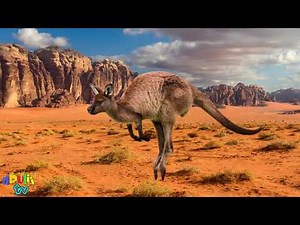 Learn ABC with Wild Animals. For Kids.