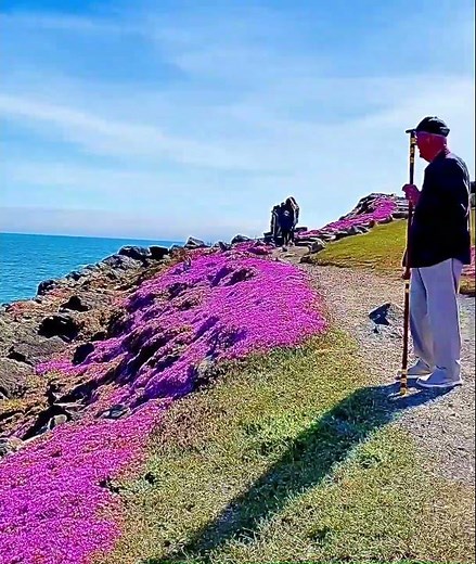 Beautiful Lighthouse- Crescent City, Northern California