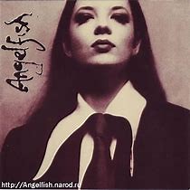 Angelfish - Angelfish