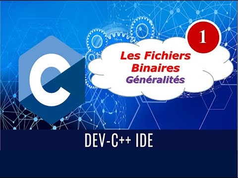 1) Les fichiers binaires - Généralités