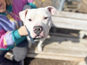 12K views · 367 reactions | Lance is the BESTEST BOY and he would...