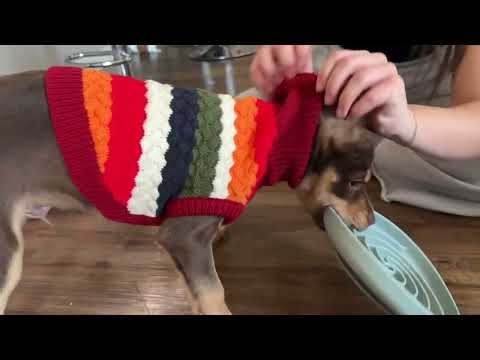 Kuoser Dog Sweater Review | Soft, Warm & Perfect Fit for Small Breeds!
