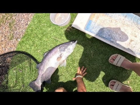 Returning To Bli Bli Barra Park | Wins And Losses