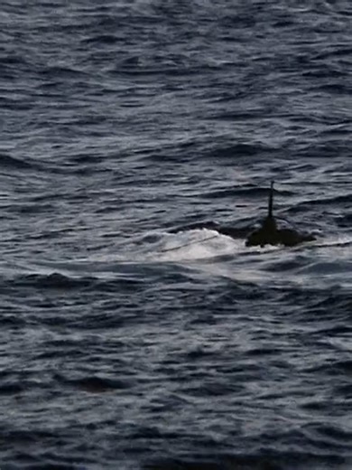 38K views · 1K reactions | ★ Tora! Tora! Tora! (1970)_Part 61 Best War Movies of All Time | WAR MOVIE |Join us: https://www.facebook.com/groups/1607692480053027 . #Warmovies #war #USSNimitz #fighter #Adventure #USNavy #USAFF #aircraft #Warbird #USSHornet #military #WW2 #WWI #aviation #zero #aviationlovers #NASA #aviationdaily #spitfire #jet #fighterjets #Marine #pilot #uk #us #military #history #aircraftcarrier #fighterjets . | Top War Tv Series | Facebook