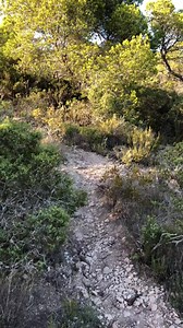 206K views · 572 shares | A hike to the beautiful eye of EsVedra, but wow it's worth it  Nature in full effect ❤️ #ibiza magic ✨ | Discover Ibiza | Facebook