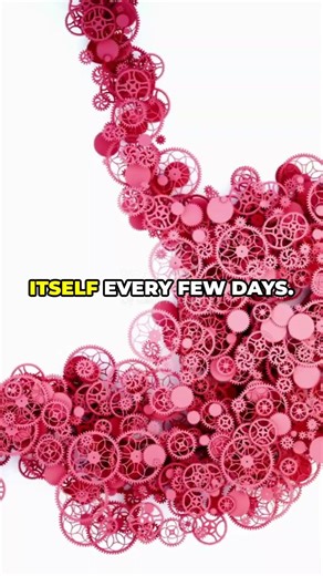 5 Mind Blowing Biology Facts You Didn't Know! #absurdfacts #mindblowingfacts #facts #funfacts