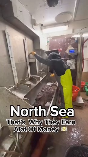 Its Not Easy To Work In North Sea #northsea | The American Soldier