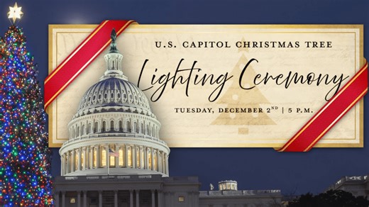 Nevada's first-ever Capitol Christmas tree, Silver Belle, gets lit in Washington D.C.