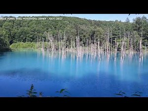 N1 Grammar - Try|| Audio File