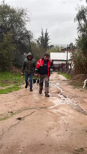 Juntos lograremos que #MaríaPinto salga adelante!!! Jessica Mualim Fajuri @muni_mariapinto @corpomariapinto @ejercito_chile @bomberosmariapinto @2damariapinto @orregocl @gobierno.santiago @senapred