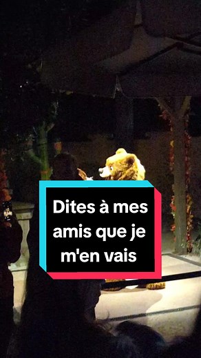 Rencontre avec Koda et Kenai du film Frère des Ours à @disneylandparis #disneylandparis #disney #freredesours #ours #chanson #disneycharacter #disneycharacters