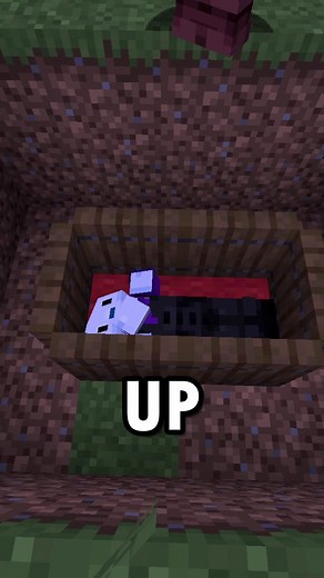 Remembering Knarfy: A Minecraft Memorial