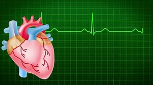 The Heart and Circulatory System - How They Work | Anatomy of the Heart | About Your Heart Attack | 