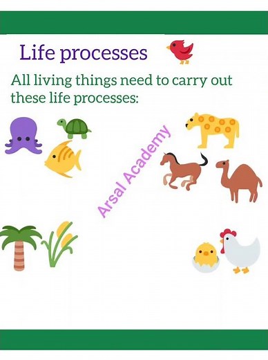 Life processes | Living Things | What are Life processes?