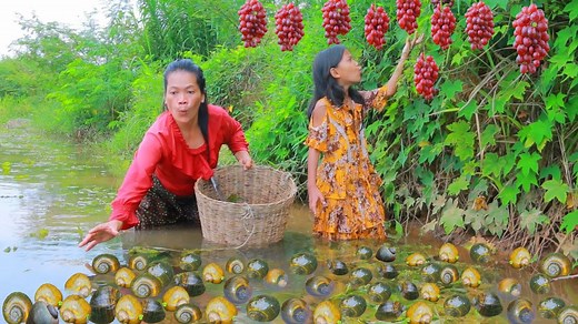 11 reactions | Woman and children finding snail meet fruit- Grilled snail with chili sauce-Eating delicious | CHEF GIRL | Facebook
