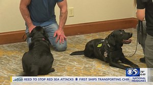 Electronic Storage Detection canines role in fighting Internet Crimes Against Children