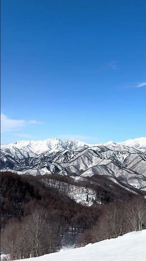 谷川岳を宝台樹の山頂から #雪 #雪景色 #スキー場 #snow #谷川岳 #ほうだいぎ #みなかみ #群馬県