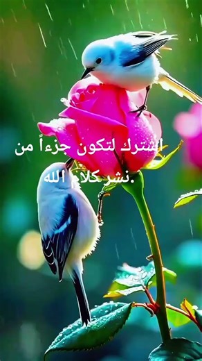 ​أجمل ما قرأ الشيخ ياسر الدوسري-سورة غافر#تلاوة_خاشعة#قرآن_كريم#اكسبلور#ياسر_الدوسري#راحة_نفسية#ترند