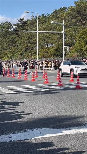 🐶止まらない！わんこの疾走劇🐾〜箱根駅伝〜 #箱根駅伝2026 #箱根駅伝 #running #犬 | 箱根 犬