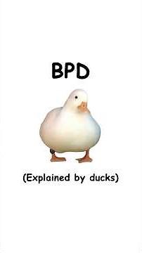 BPD (explained by ducks)