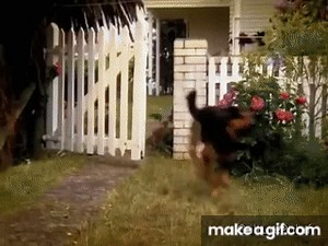 Bugger - BANNED Toyota TV commercial -  Both ads on Make a GIF