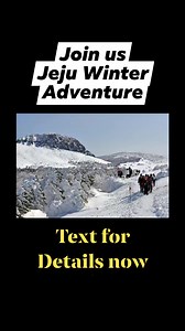 1.1K views | Hallasan, Olle, flowers & fruit plucking etc | Singapore Adventurous Nature-Lovers | Facebook