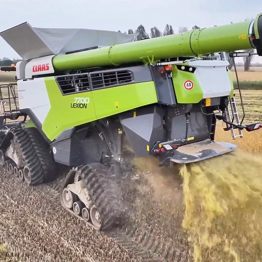 With the Claas Lexion combine harvester, we're streamlining rice production from planting to processing, maximizing yields and ensuring a more food-secure future for our communities 🌾 #reels #claaslexion #farminguk | Big Machines