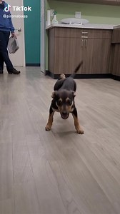 54K views · 631 reactions | ITS FRIDAY!!!   | Trucker Josh | Facebook