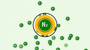 Animation Nitrification Denitrification Biological Nitrogen Cycle Stock Footage Video (100% Royalty-free) 1096576031 | Shutterstock