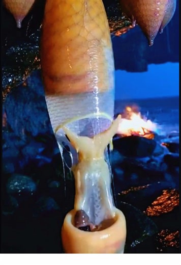 👽Alien Cocoon🐛 #alien #cocoon #alienlife #extraterrestriallife #extraterrestrial