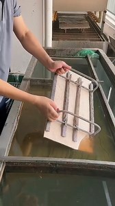 1.2K views | amazing5 | Bachelor Media | Facebook