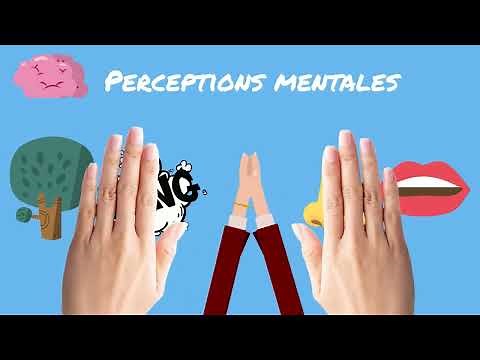 Sensation et perception : chapitre complet